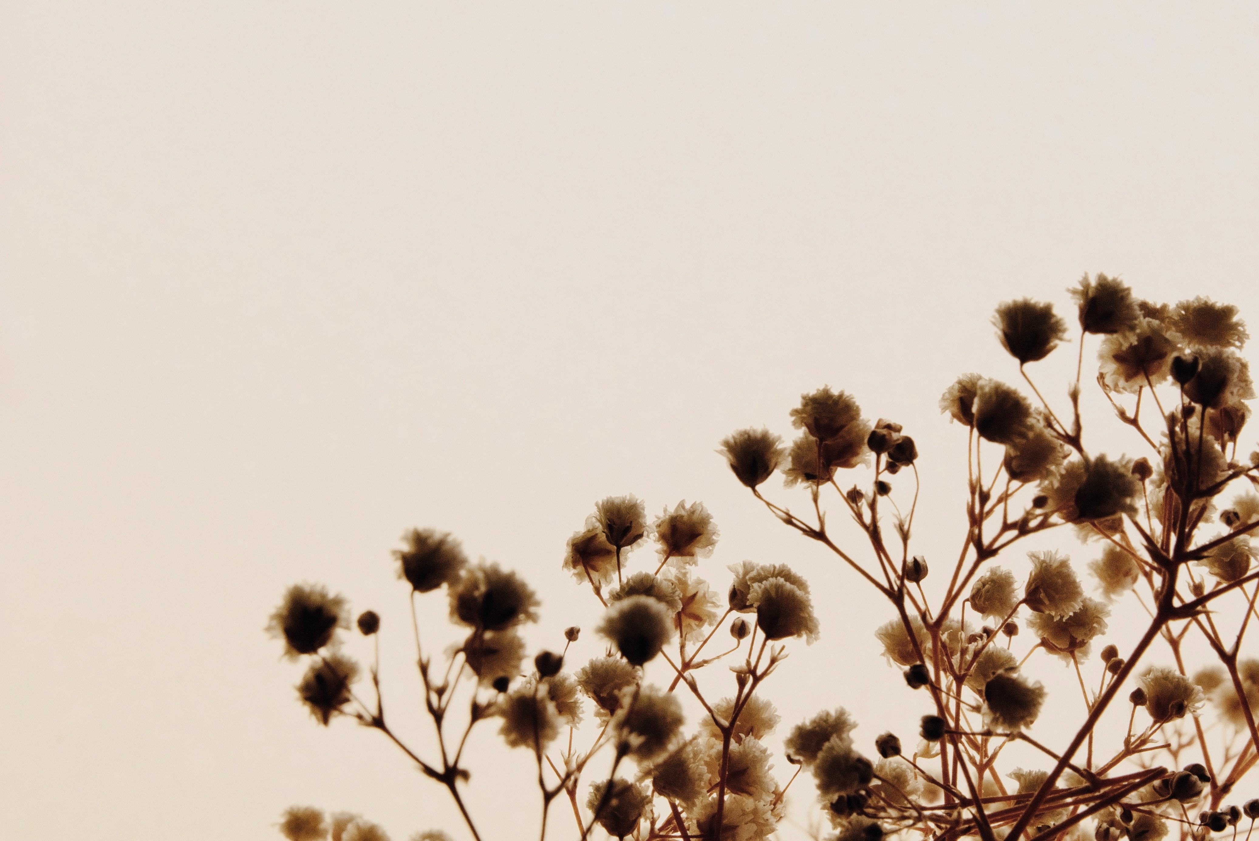 jocelyn morales xVrepXchD unsplash
